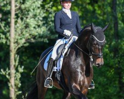 dressage horse Fleurette 20 (German Sport Horse, 2015, from For Romance I)