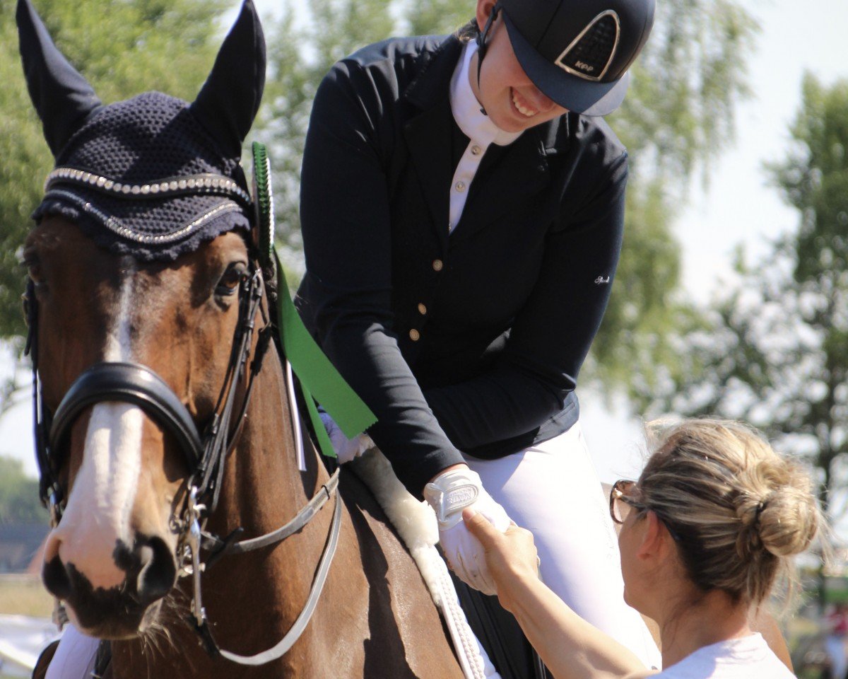 dressage horse First Class (Westphalian, 2013, from Fuego du Prelet)