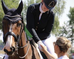 dressage horse First Class (Westphalian, 2013, from Fuego du Prelet)