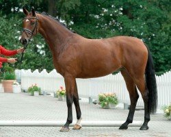 dressage horse Be my Lady 6 (Westfale, 2017, from Bonds)