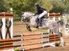 dressage horse Llanarth Royalist (Welsh-Pony (Section B), 2015, from Breeton Dai)