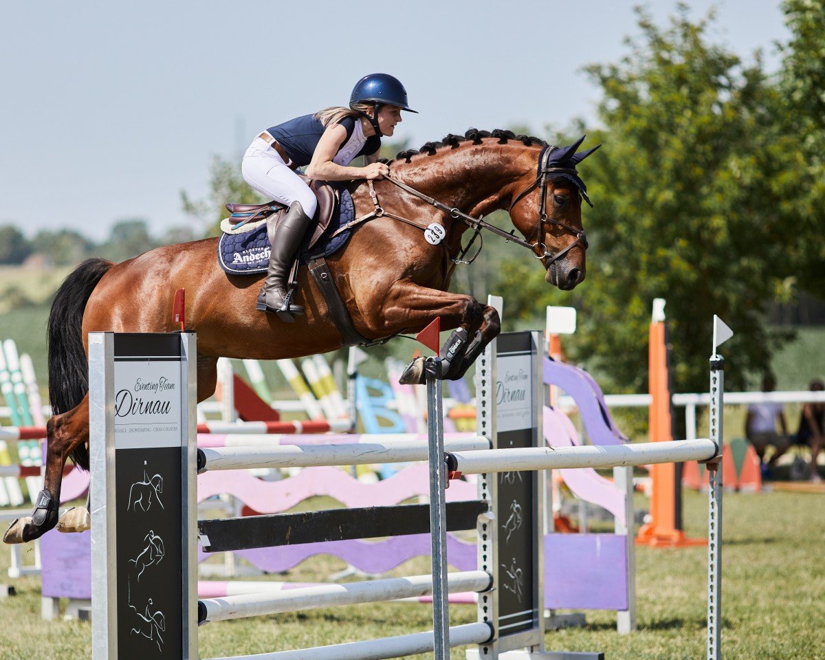 jumper Lord Liberty 29 (Holsteiner, 2016, from Pikeur Lord Fauntleroy)