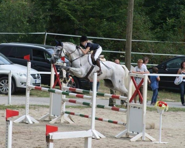 jumper Chakalaka (Bavarian, 2004, from Cosino B)