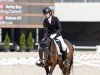 dressage horse Dance for you 4 (Dutch Pony, 2019, from Beauty W)