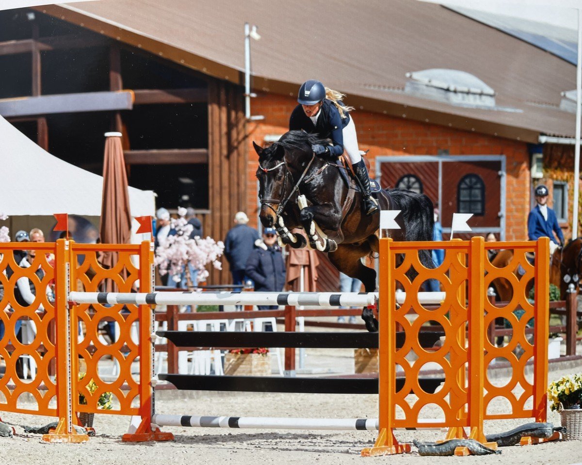 jumper Go Classico (Mecklenburg, 2016, from Grandorado TN)