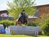 dressage horse Gortmore Grace (Irish Sport Horse, 2017, from Funambule II)