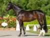 dressage horse Sue Perdupa (Rhinelander, 2019, from Secret)