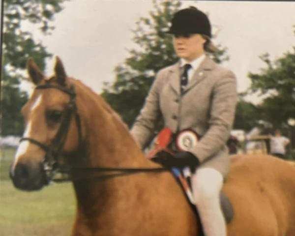 Pferd Copperkins Spring Holiday (British Riding Pony,  , von Oakley (C) Bubbling Spring)