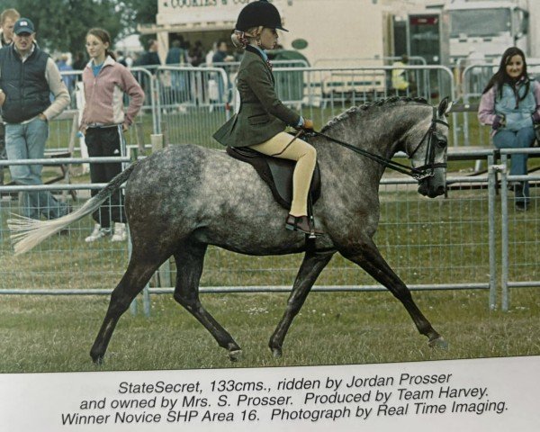 Pferd State Secret (British Riding Pony, 1999, von Southwark Apollo Salute)