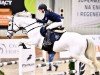 jumper Cash And Fly (Oldenburg show jumper, 2012, from DSP Cashmoaker)