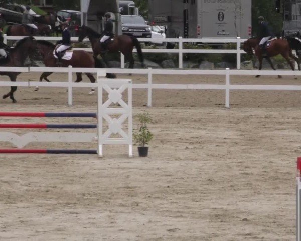 Reitturnier St. Margarethen 2022