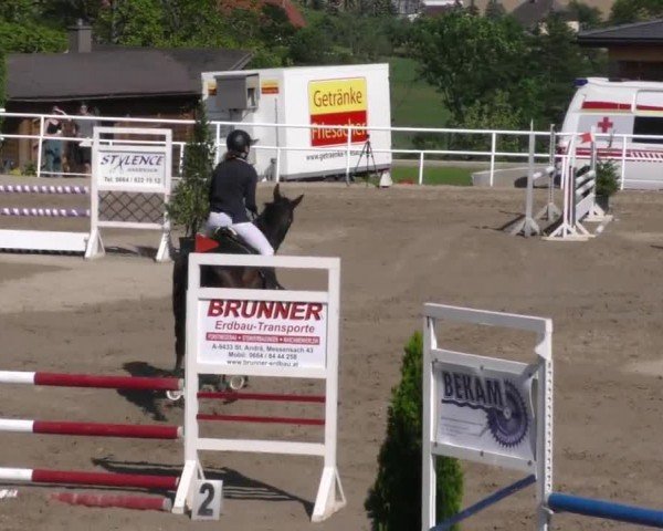 Reitturnier Dachberg 2023
