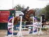 jumper Balou 149 (Polish Warmblood, 1998)