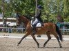 dressage horse Rhiana 2 (Hanoverian, 2005, from Rotspon)