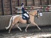 Dressurpferd Alposa's Charles The Champ (Deutsches Reitpony, 2017, von FS Champion de Luxe)