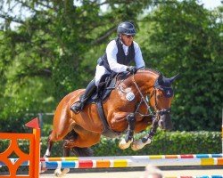 Springpferd Jacoba Stud Imosa (KWPN (Niederländisches Warmblut), 2013, von Biscayo)