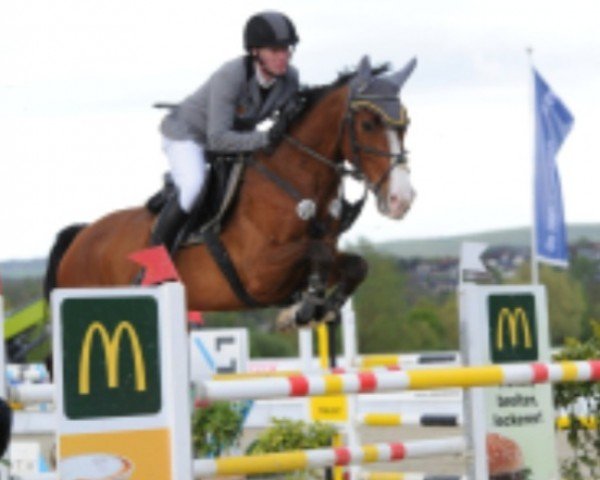 jumper Dalmore N (Oldenburg show jumper, 2016, from Diarado)