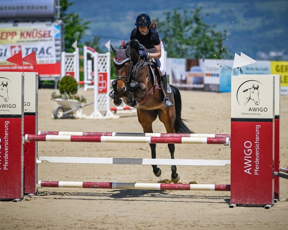 jumper O'Rosalie (Hanoverian, 2019, from OGANO)