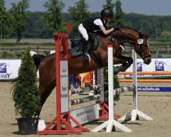 broodmare Waomy (German Riding Pony, 2006, from Traumfürst)