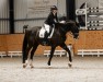 dressage horse Darkoro (German Sport Horse, 2007, from Danzas)