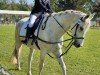 dressage horse Helene S (Trakehner, 2008, from Interconti)