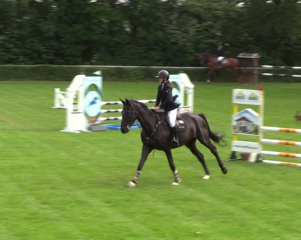 Reitturnier Westeregeln 2024