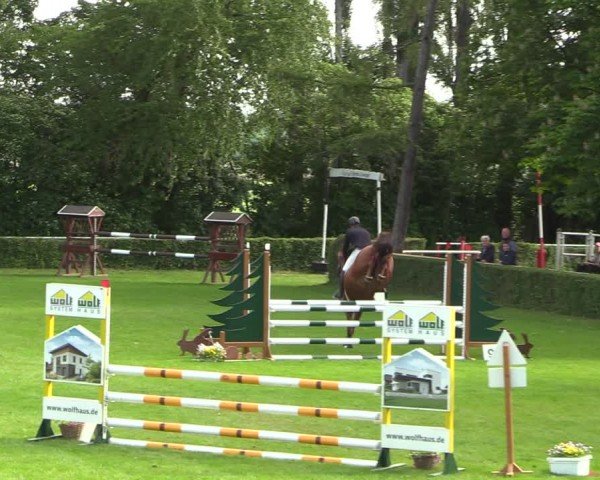 Reitturnier Westeregeln 2024