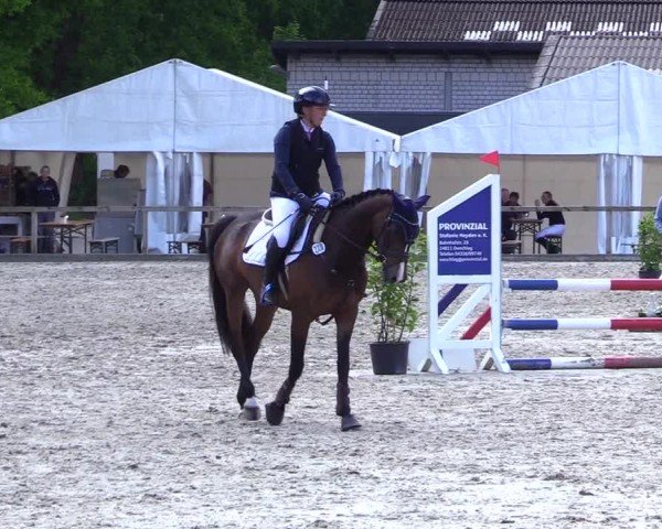 Reitturnier Kropp 2024