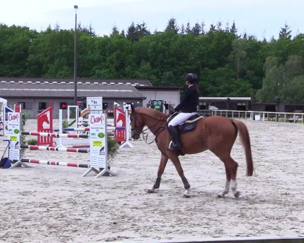 Reitturnier Kropp 2024