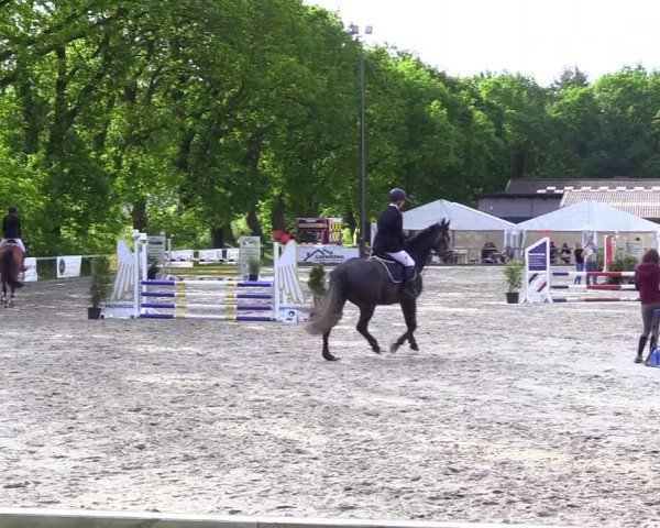 Reitturnier Kropp 2024