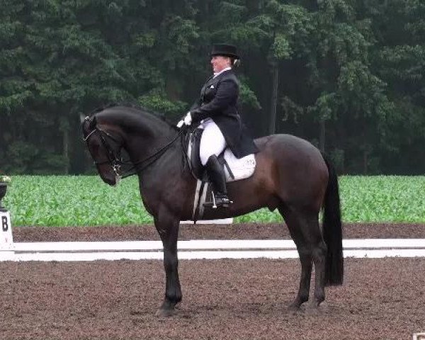 Weser Ems Meisterschaften Cloppenburg 2012