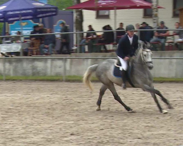 Reitturnier Landenhausen 2024