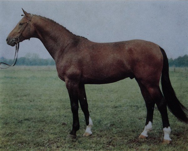 horse Sender (Brandenburg, 1983, from Sekurit)