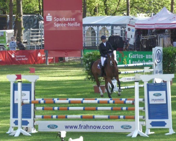 Reitturnier Cottbus-Sielow 2024