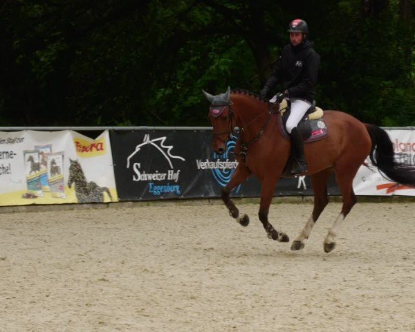 Reitturnier Karlsfeld/Obb. 2024