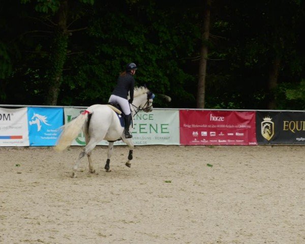 Reitturnier Karlsfeld/Obb. 2024