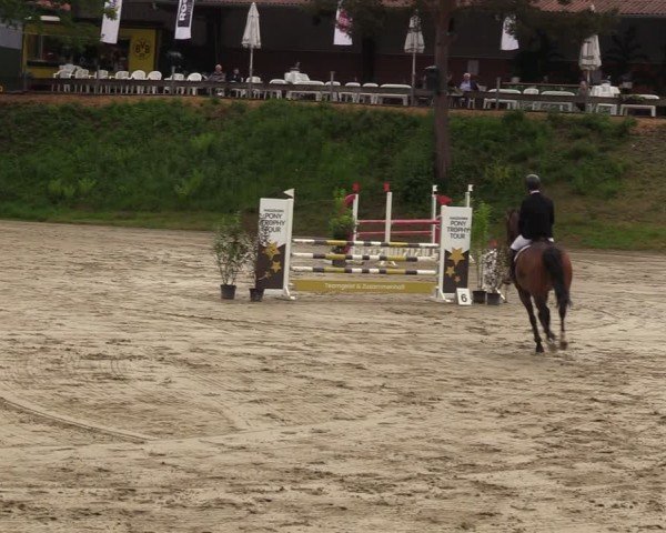 Reitturnier Iserlohn-Kalthof 2024