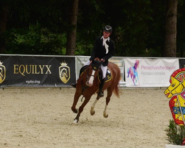 Reitturnier Karlsfeld/Obb. 2024