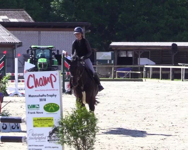 Reitturnier Kropp 2024