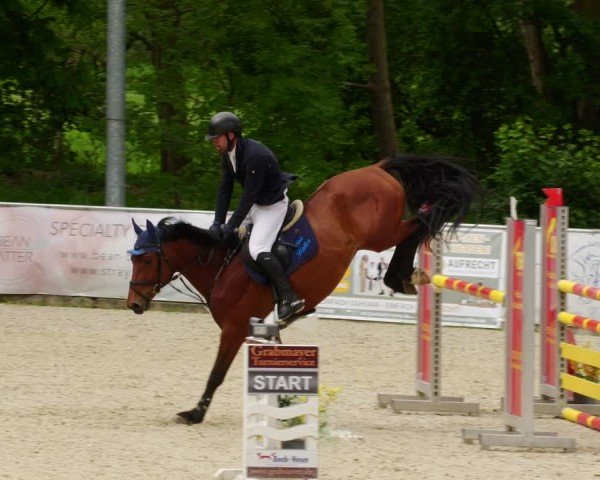 Reitturnier Karlsfeld/Obb. 2024