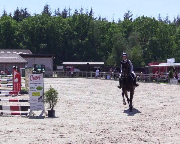 Reitturnier Kropp 2024
