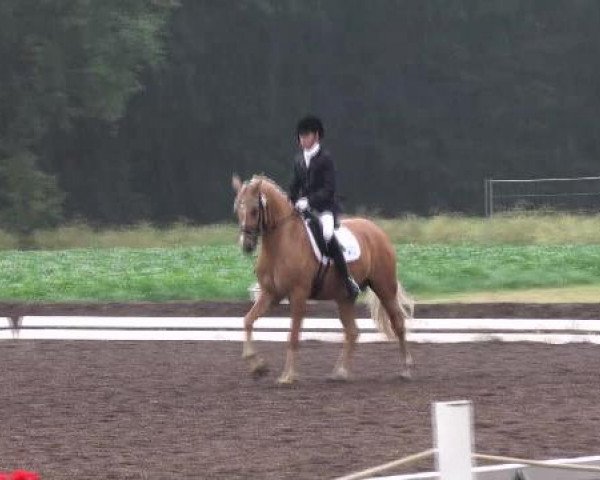Weser Ems Meisterschaften Cloppenburg 2012