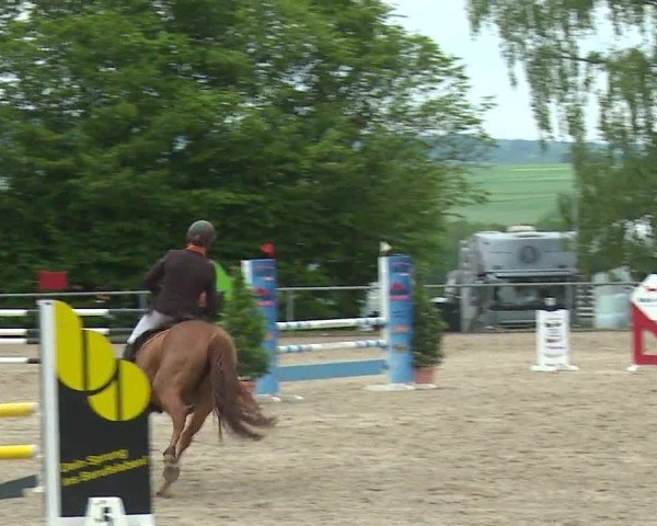 Reitturnier Landenhausen 2024