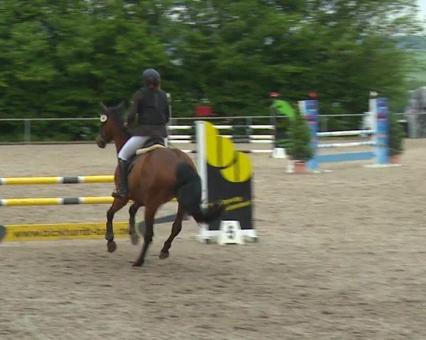 Reitturnier Landenhausen 2024