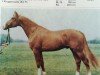 stallion Dolon (Mecklenburg, 1983, from Dietar)