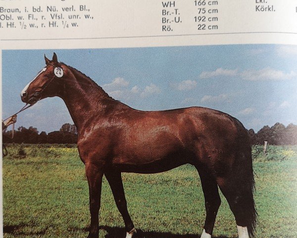 stallion Duros 3471 (Brandenburg, 1985, from Duralin III)