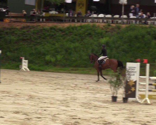 Reitturnier Iserlohn-Kalthof 2024