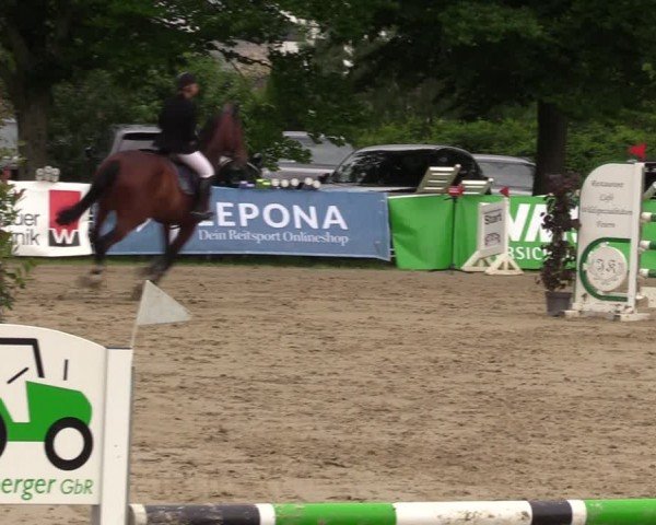 Reitturnier Iserlohn-Kalthof 2024