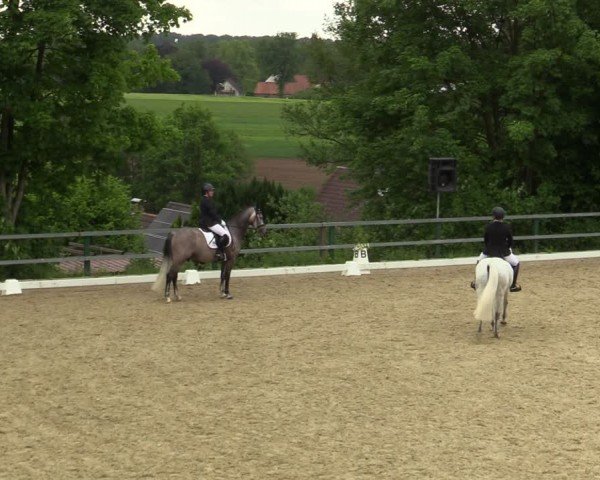 Reitturnier Iserlohn-Kalthof 2024