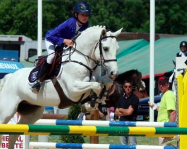 jumper Blued Dew Drop (Connemara Pony, 2007, from Ice And Fire D’albran)